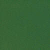 9377 Fichtengrün